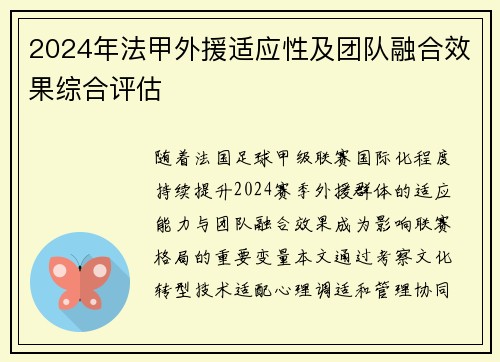 2024年法甲外援适应性及团队融合效果综合评估